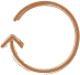 icon 14